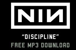 nin-discipline